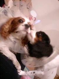Lance☆love 2010/10/19 20:11:46