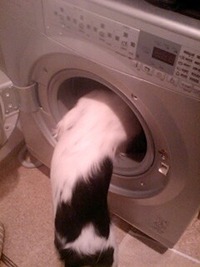 お邪魔ムシ。 2010/12/23 07:05:33