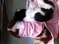 いつの間に・・・？！ 2011/01/21 12:38:00
