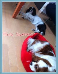 朝の一杯♪ 2011/07/05 15:34:01