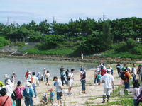 ｸﾘｰﾝ･ｷｬﾝﾍﾟｰﾝ ｉｎ 糸満