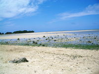 ｸﾘｰﾝ･ｷｬﾝﾍﾟｰﾝ ｉｎ 糸満