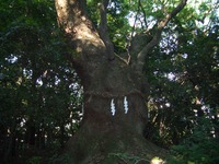 熱田神宮（名古屋市熱田区）