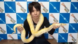 おきなわワールド！！