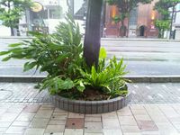 最大級の台風接近中！
