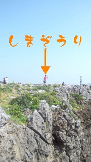 ドライブ