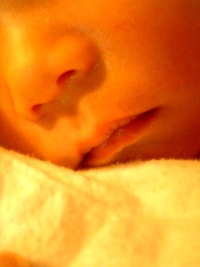 baby baby baby