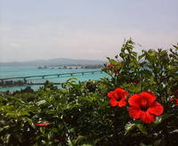 古宇利島