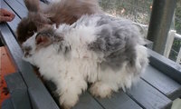 動物園☆