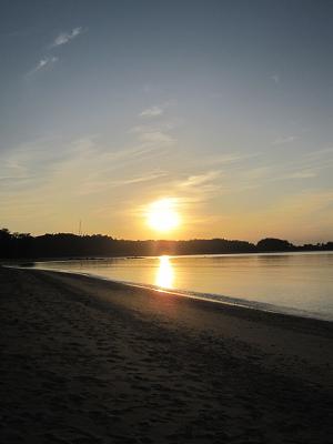 夕日・あしあと・動物