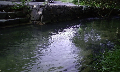 塩水が流れる川　！！