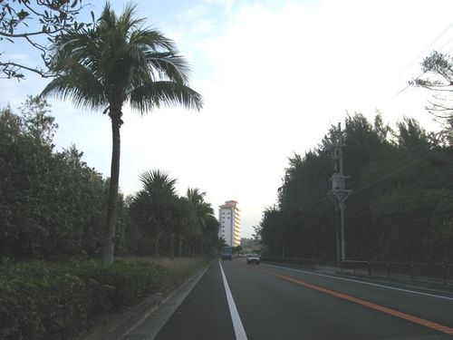 日曜日の様子　名護