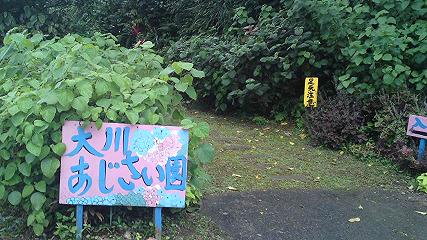 おすすめドリンク