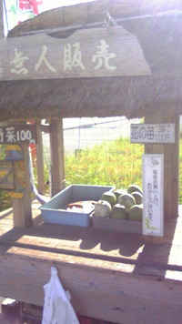 室伏バンザイ！ 2011/08/30 20:26:15