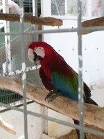 ミニミニ動物園