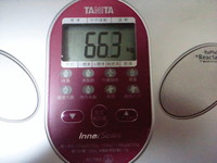でぶ～が行く！　×？ダイエット 2011/07/17 07:59:33