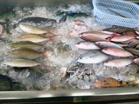 具志川パヤオ鮮魚直売店 2011/07/21 03:04:52