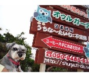 晴れた日はお庭を散策♪ 2011/05/11 22:31:01