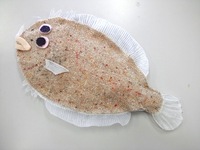 新しい仲間たち