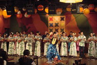 ♪2008 Hawaiian  Paina