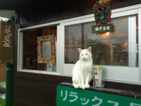 まねき猫 2012/09/20 18:08:01