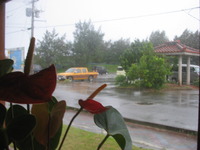 ヤバイよ、台風ソングダー 2011/05/27 16:59:09