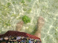 海水足浴でクリアリング 2011/10/29 14:56:37