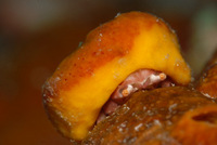 マクロなんだゼぇ～