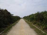 久高島③