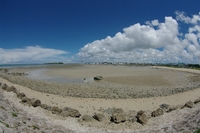 大嶺海岸