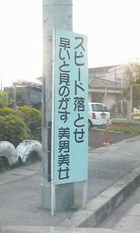 きょろきょろ。