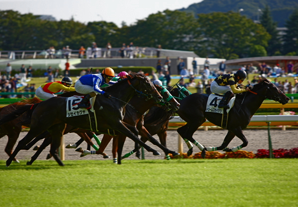 東京秋競馬開催
