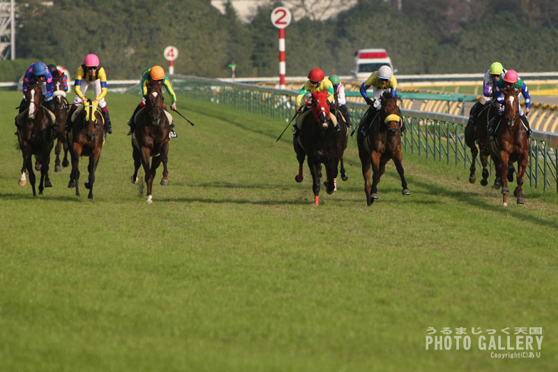 RACE