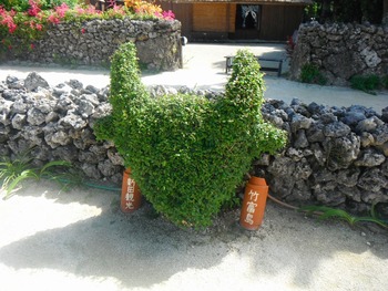 石垣３日目