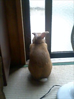 気になるお天気