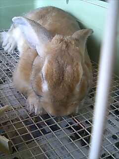 ひと休み