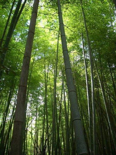 きもち涼しく