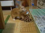 無事でよかったよかった