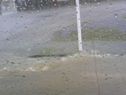 大雨