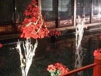 弟の結婚式