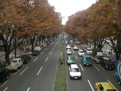 紅葉
