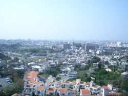 贅沢な眺め