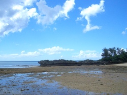 夏