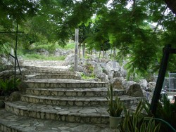 公園