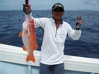アカジン３ｋｇ　ジギング　海遊丸 2008/06/27 08:16:41