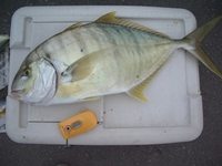 中城湾　ニューポイント探索 2008/02/21 18:51:38