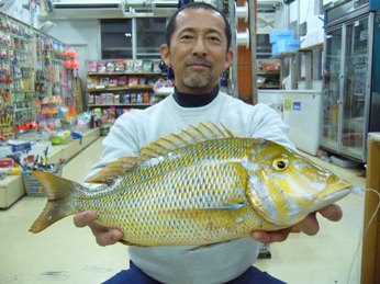中城モールでのタマン釣り