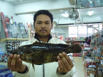 中城モール海岸でミーバイ