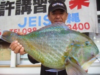 マクブ名人 2008/05/06 18:49:58