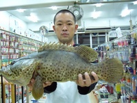 西原海岸　ミーバイとアオリイカ 2008/03/25 14:06:10
